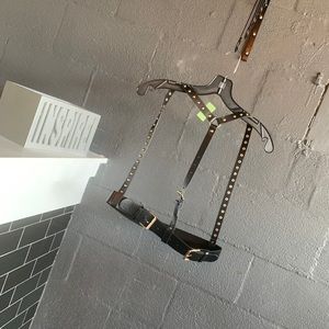 Black Breast strap and gold trimming.